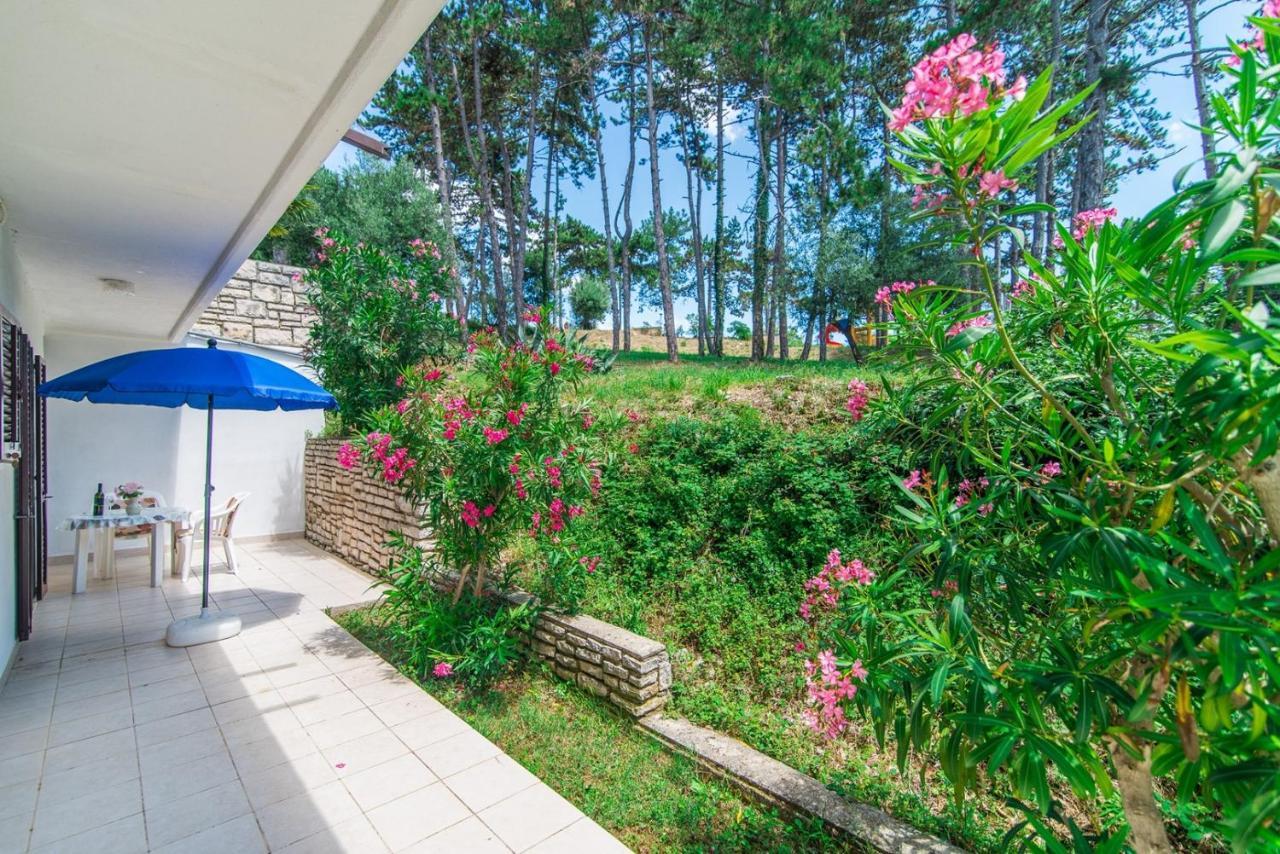 Apartments Pino 라벡 외부 사진